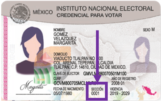 Imagen Credencial de Elector